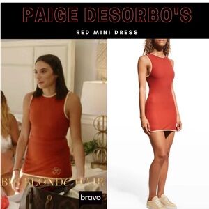 WeWoreWhat Rust Mini Dress with Cream Trim